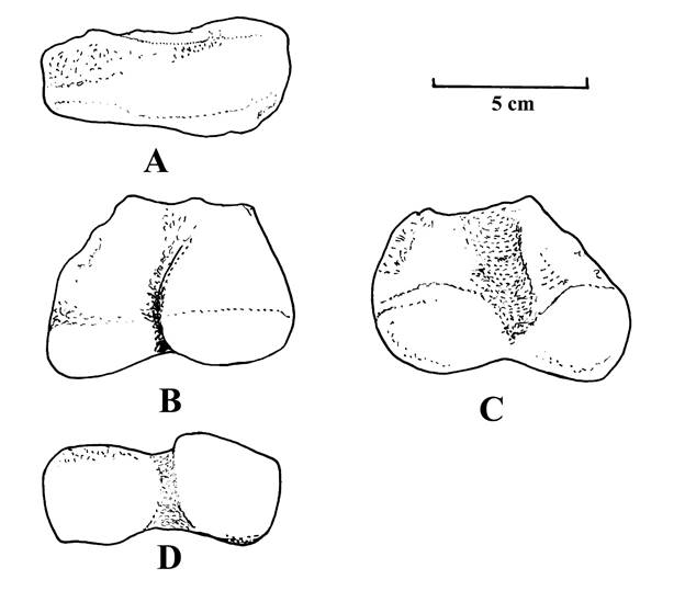 A picture containing map, text  Description automatically generated